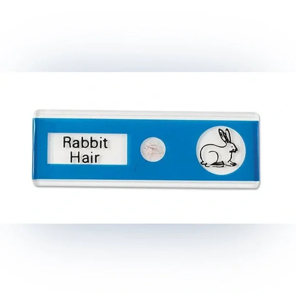 NEW! Prepared Microscope Slides by Lakeshore Learning - unused, still in boxes - Picture 9 of 11